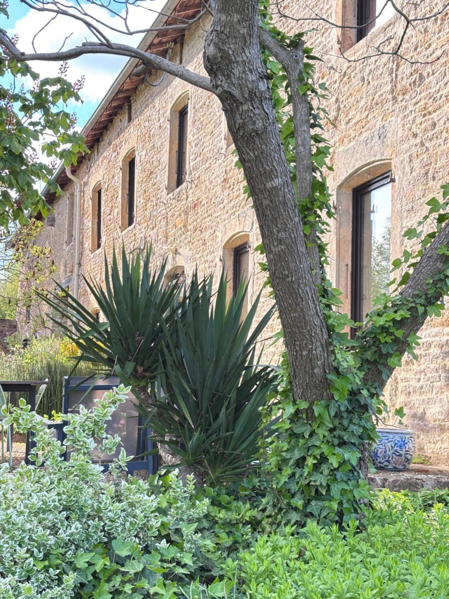 Domaine Du Vernay Mazille Exterior foto